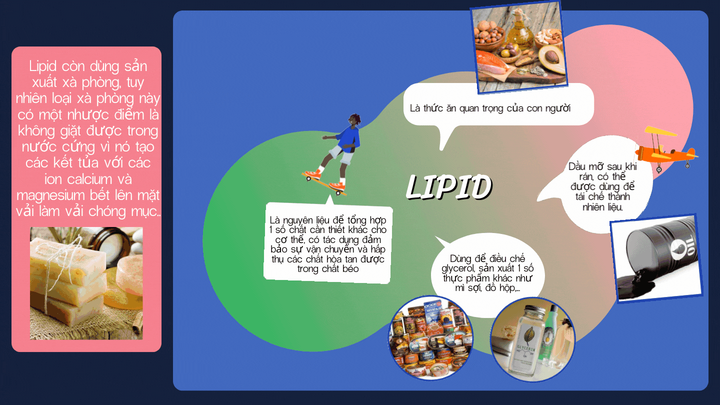 ứng dụng của lipid