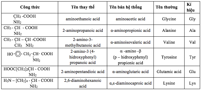 Một số amino acid thường gặp