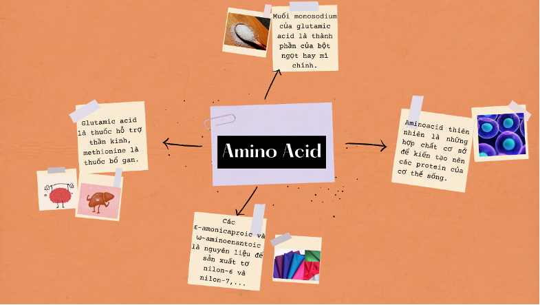 Ứng dụng của amino acid