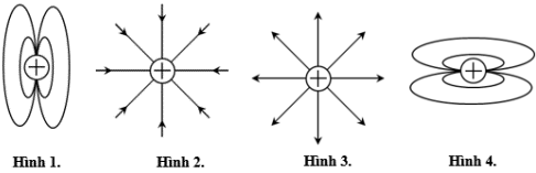 Hình vẽ nào sau đây là đúng khi vẽ đường sức điện của một điện tích dương (ảnh 1)