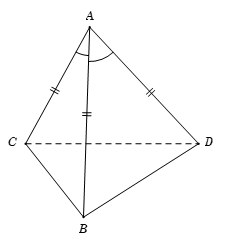 Cho tứ diện ABCD có  (ảnh 1)