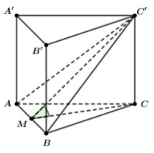 Cho hình lăng trụ đều ABC.A'B'C' có cạnh đáy bằng 2a, cạnh bên bằng a. Góc giữa hai mặt phẳng (ABC') và (ABC) bằng (ảnh 1)