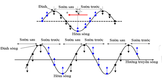 Một sóng ngang truyền trên bề mặt với tân số f = 10Hz. Tại một thời điểm nào đó một phần mặt cắt của nước có hình dạng như hình vẽ. (ảnh 2)