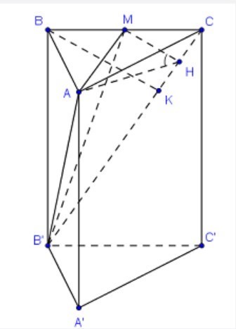 Cho lăng trụ đứng ABC.A'B'C' có đáy là tam giác ABC vuông cân A (ảnh 1)