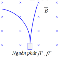 Vết của các hạt  và  phát ra từ nguồn N chuyển động trong từ trường  có dạng như hình vẽ. So sánh động năng của hai hạt này ta thấy (ảnh 1)