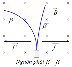 Vết của các hạt  và  phát ra từ nguồn N chuyển động trong từ trường  có dạng như hình vẽ. So sánh động năng của hai hạt này ta thấy (ảnh 1)
