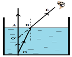 Một người nhìn thấy con cá ở trong nước. Hỏi muốn đâm trúng con cá thì  (ảnh 1)