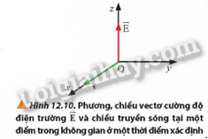 Giải SGK Vật Lí 12 Bài 12 (Chân trời sáng tạo): Hiện tượng cảm ứng điện từ (ảnh 2)