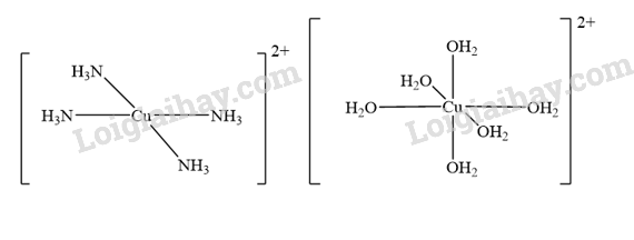 Giải SGK Hóa 12 Bài 20 (Chân trời sáng tạo): Sơ lược về phức chất và sự hình thành phức chất của ion kim loại chuyển tiếp trong dung dịch (ảnh 1)