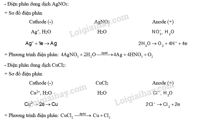 Giải SGK Hóa 12 Bài 13 (Chân trời sáng tạo): Điện phân (ảnh 4)