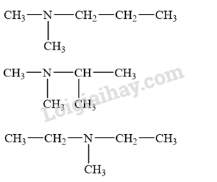 Giải SGK Hóa 12 Bài 6 (Chân trời sáng tạo): Amine (ảnh 10)