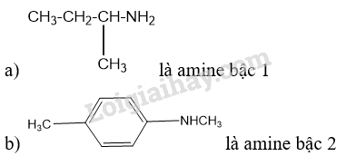 Giải Hóa 12 Bài 5 (Cánh diều): Amine  (ảnh 1)