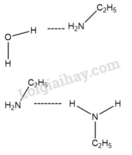 Giải Hóa 12 Bài 5 (Cánh diều): Amine  (ảnh 1)