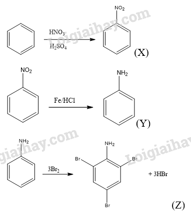 Giải Hóa 12 Bài 5 (Cánh diều): Amine  (ảnh 1)