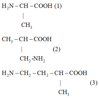 Giải Hóa 12 Bài 6 (Cánh diều): Amino  (ảnh 1)