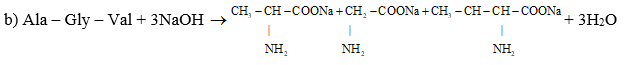 Giải Hóa 12 Bài 7 (Cánh diều): Peptide, protein và enzyme  (ảnh 1)