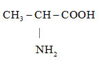 Giải Hóa 12 Bài 7 (Cánh diều): Peptide, protein và enzyme  (ảnh 1)