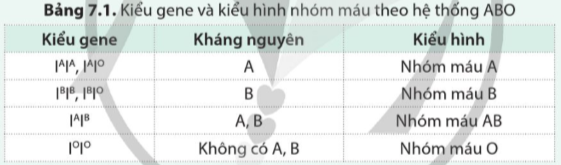 Giải Sinh học 12 Bài 7 (Cánh diều): Di truyền học Mendel và mở rộng học thuyết Mendel (ảnh 1)