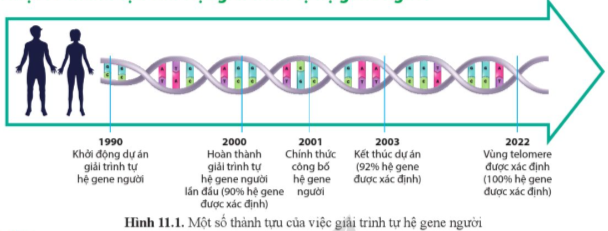 Giải Sinh học 12 Bài 11 (Cánh diều): Hệ gene, công nghệ gene và ứng dụng (ảnh 1)