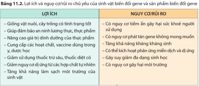 Giải Sinh học 12 Bài 11 (Cánh diều): Hệ gene, công nghệ gene và ứng dụng (ảnh 1)