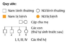 Giải Sinh học 12 Bài 14 (Cánh diều): Di truyền học người (ảnh 1)