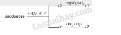 Giải SGK Hóa 12 Bài 4 (Chân trời sáng tạo): Saccharose và maltose (ảnh 4)