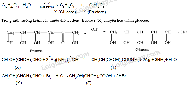 Giải SGK Hóa 12 Bài 4 (Chân trời sáng tạo): Saccharose và maltose (ảnh 5)