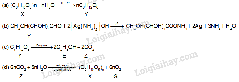 Giải SGK Hóa 12 Bài 5 (Chân trời sáng tạo): Tinh bột và cellulose (ảnh 6)