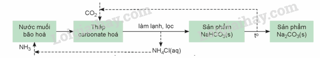 Giải SGK Hóa 12 Bài 17 (Chân trời sáng tạo): Nguyên tố nhóm IA (ảnh 2)