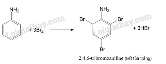 Giải SGK Hóa 12 Bài 6 (Chân trời sáng tạo): Amine (ảnh 5)