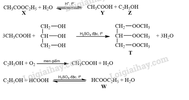 Giải SGK Hóa 12 Bài 1 (Chân trời sáng tạo): Ester – Lipid (ảnh 10)