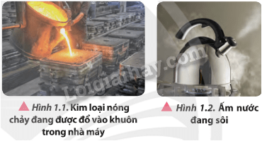 Giải SGK Vật Lí 12 Bài 1 (Chân trời sáng tạo): Sự chuyển thể (ảnh 1)