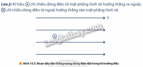 Giải SGK Vật Lí 12 Bài 10 (Chân trời sáng tạo): Lực từ. Cảm ứng từ (ảnh 2)