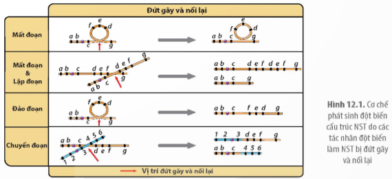 Tài liệu VietJack