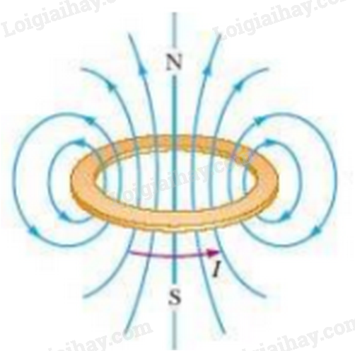 Giải SGK Vật Lí 12 Bài 9 (Chân trời sáng tạo): Khái niệm từ trường (ảnh 3)