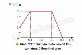 Giải SGK Vật Lí 12 Bài 12 (Chân trời sáng tạo): Hiện tượng cảm ứng điện từ (ảnh 6)