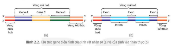 Tài liệu VietJack