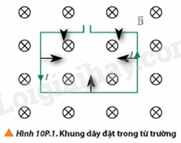 Giải SGK Vật Lí 12 Bài 10 (Chân trời sáng tạo): Lực từ. Cảm ứng từ (ảnh 6)