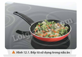 Giải SGK Vật Lí 12 Bài 12 (Chân trời sáng tạo): Hiện tượng cảm ứng điện từ (ảnh 1)