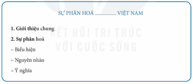 Địa Lí 12 Kết nối tri thức Bài 4: Thực hành: Viết báo cáo về sự phân hóa tự nhiên Việt Nam | Giải Địa 12