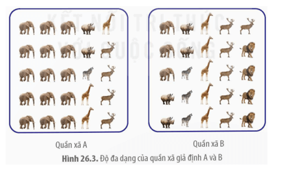 Quan sát Hình 26.3 và cho biết quần xã nào đa dạng hơn. Giải thích