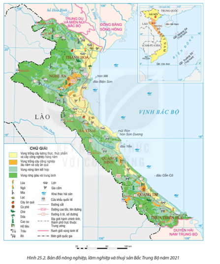 Dựa vào thông tin mục 2 và hình 25.2, hãy trình bày một số đặc điểm nổi bật về ngành lâm nghiệp