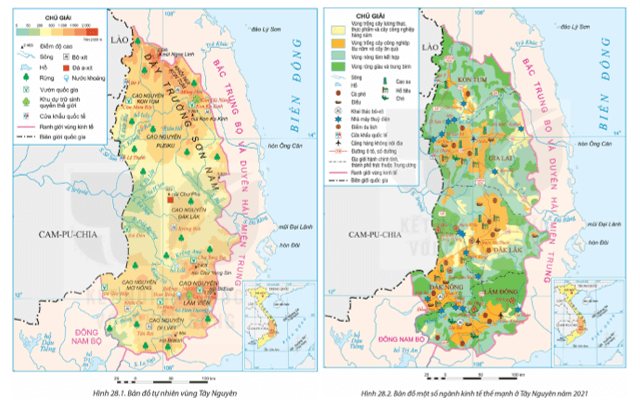 Dựa vào thông tin mục 2 và hình 28.1, 28.2 hãy: Nêu thế mạnh để phát triển lâm nghiệp ở vùng Tây Nguyên