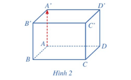 Hoạt động 1 trang 50 Toán 12 Cánh diều Tập 2 | Giải Toán 12