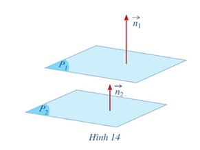 Hoạt động 8 trang 57 Toán 12 Cánh diều Tập 2 | Giải Toán 12