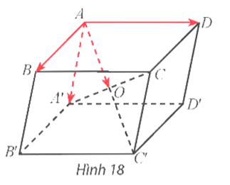 Hoạt động khám phá 5 trang 46 Toán 12 Tập 1 Chân trời sáng tạo | Giải Toán 12