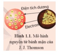 Vào đầu những nãm 1900, các nhà khoa học đã khám phá ra rằng nguyên tử