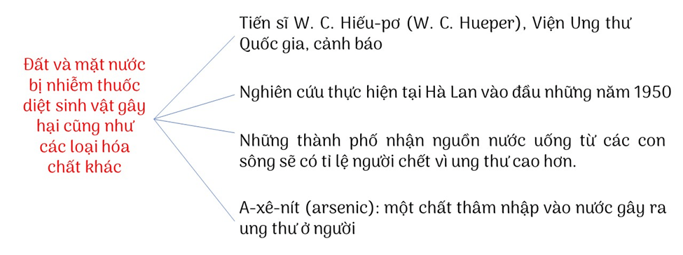 Soạn bài Sự ô nhiễm nguồn nước trên bề mặt trái đất và hậu quả | Ngắn nhất Soạn văn 12 Chân trời sáng tạo