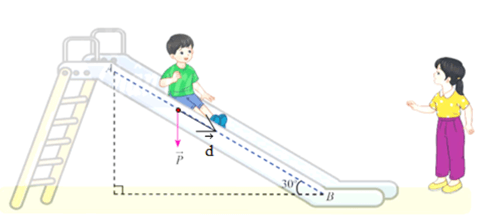 Vận dụng 4 trang 50 Toán 12 Tập 1 Chân trời sáng tạo | Giải Toán 12