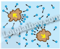 Lý thuyết Cấu trúc của chất. Sự chuyển thể (Vật Lí 12 Kết nối tri thức 2024) (ảnh 1)